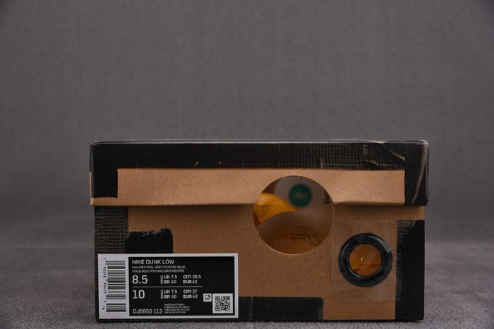 fw x nike dunk low 